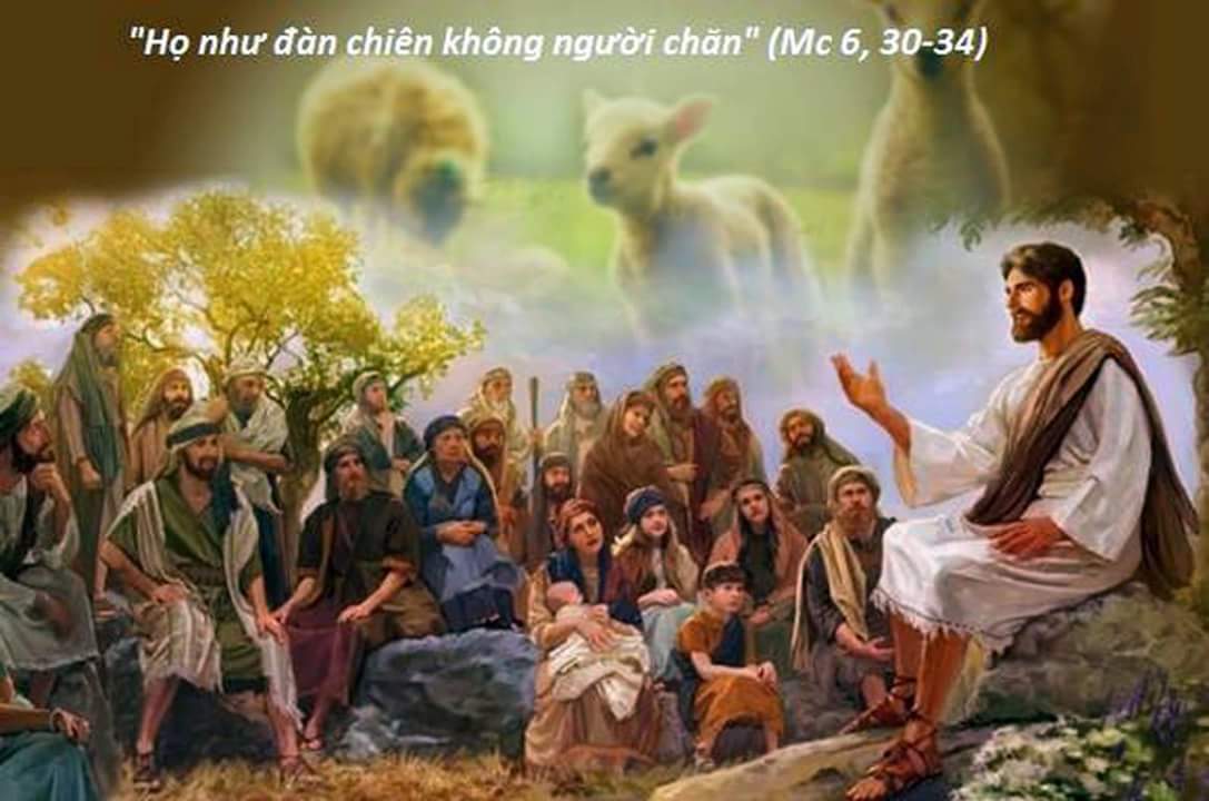 Chúa Vấn Vương Thương Đoàn Chiên